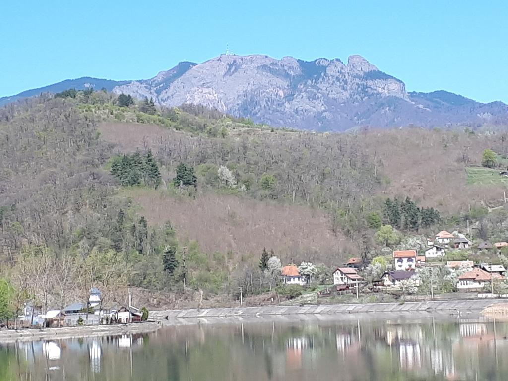 فندق Casa Arbo Călimăneşti المظهر الخارجي الصورة